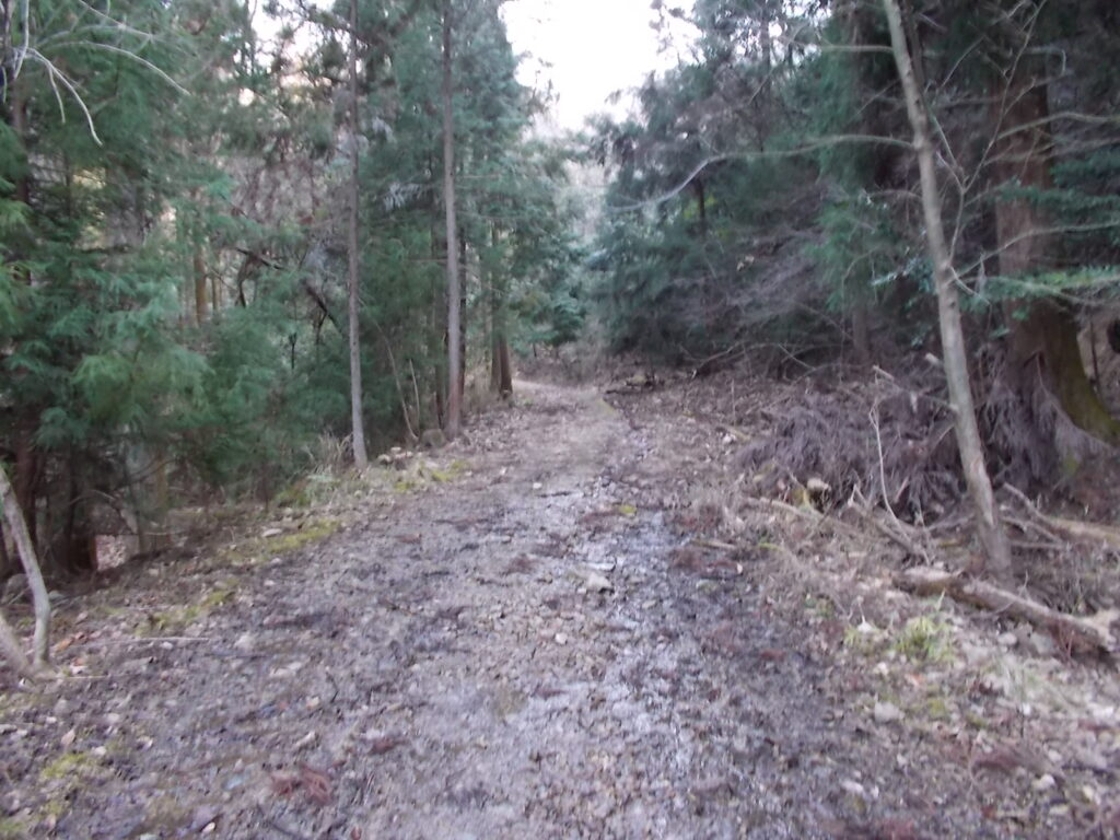 9：06　道は広いんですが、けっこうぬかるんでいます。