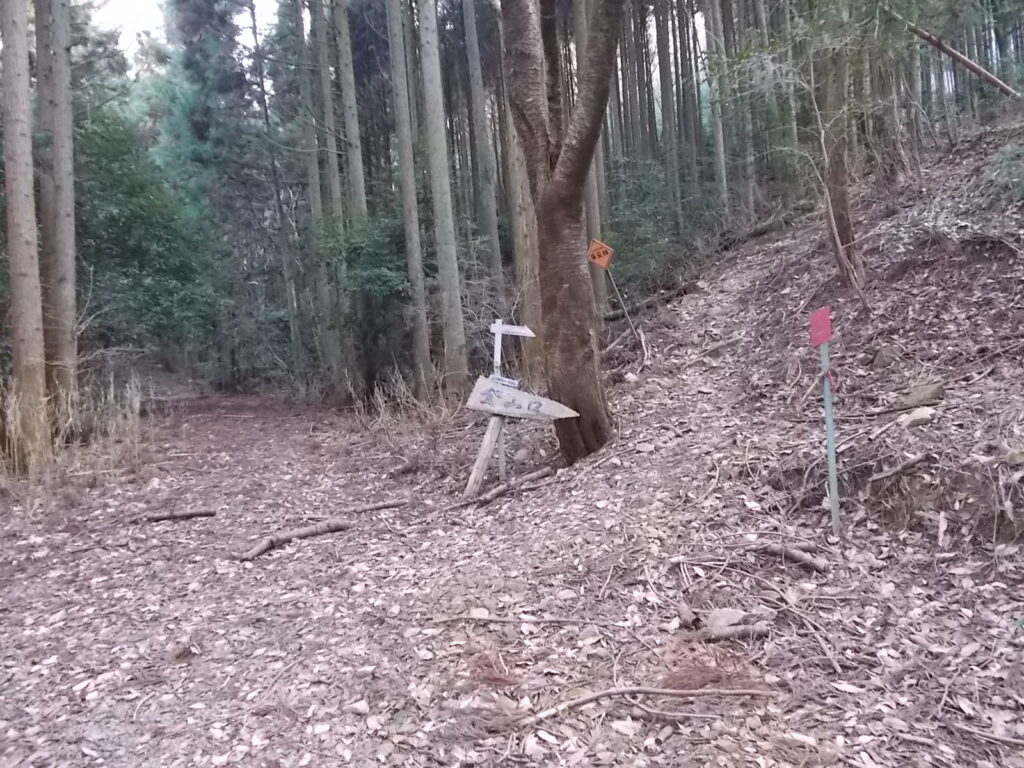 9：07　登山口です。尾根の合流点まで800ｍだったような。