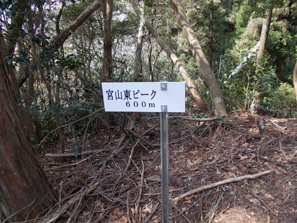 11:03 急な斜面を登り切ると宮山東のピークに出ました。