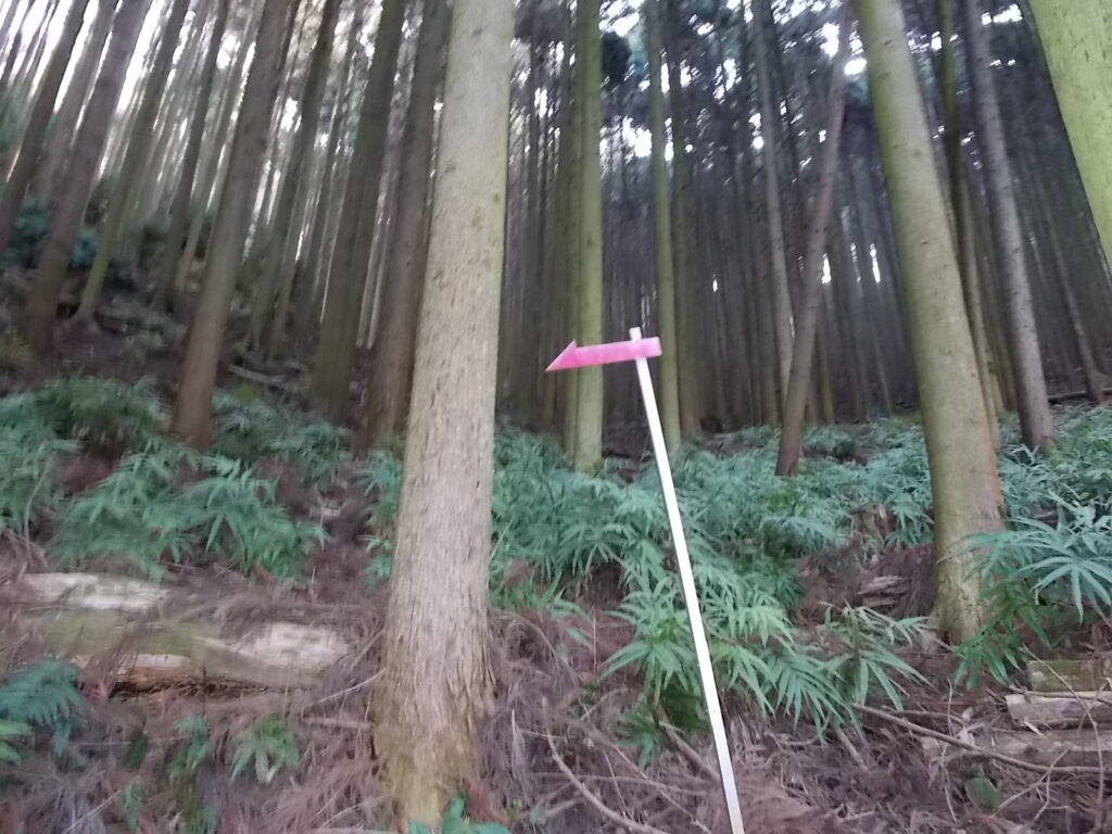 9：11　矢印の案内板。