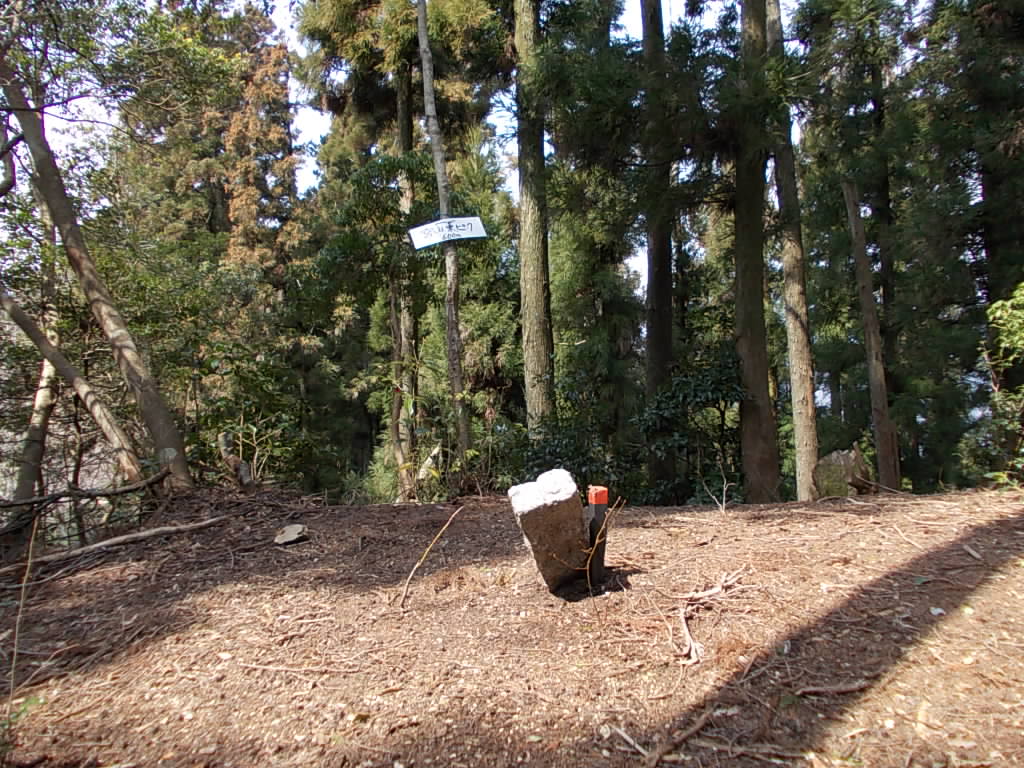 11:04 宮山東の三角点です。