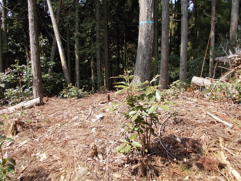 11:06 またまた下っていきます。