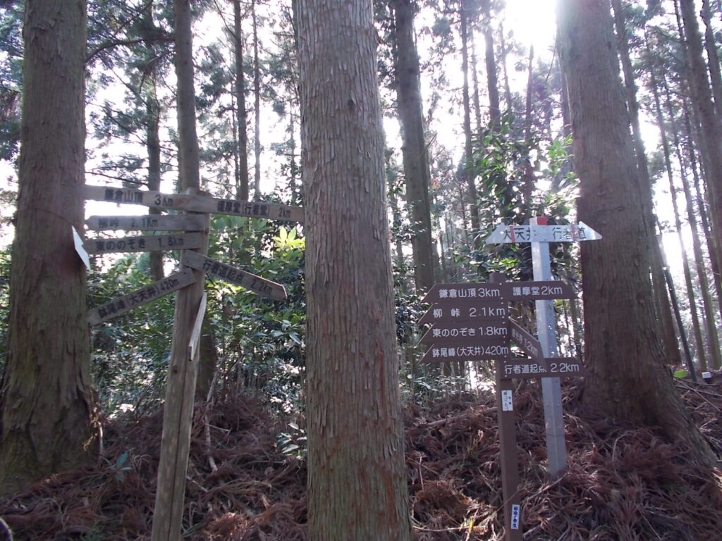 9：21　尾根の合流点。やたらと詳しい案内板がいっぱいです。