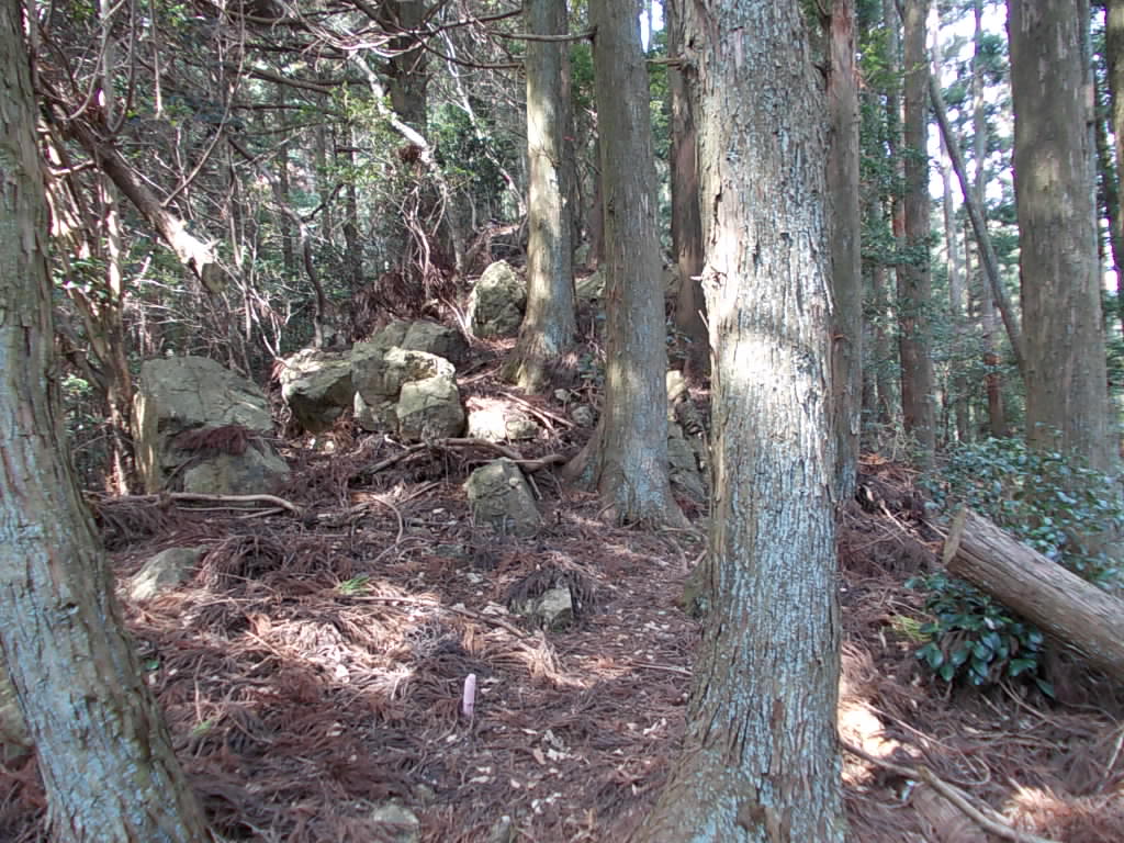 11:07 岩が多くなりました。
