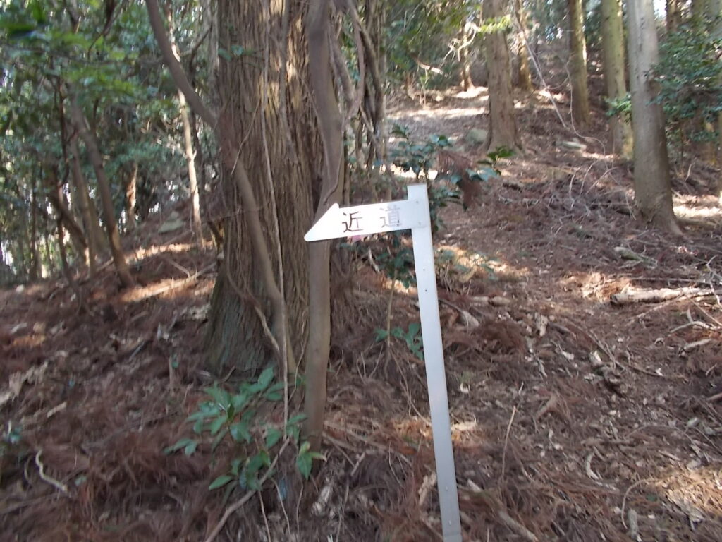 9：23　大天井下の分岐。右の登りが大天井。左が近道の迂回路です。
