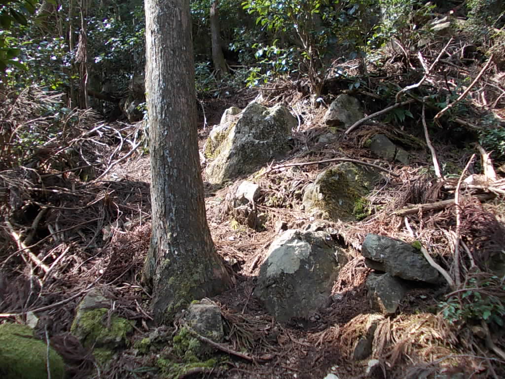 11:08 かなり急な登りです。