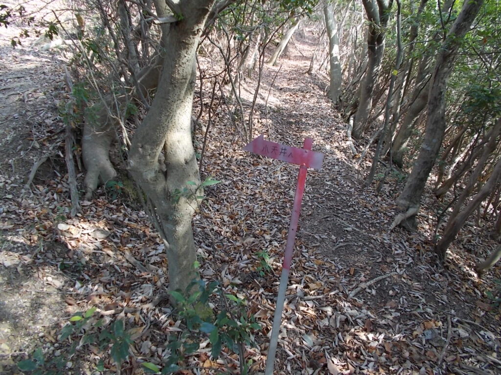 9：31　小天井への分岐。ここを左へ。