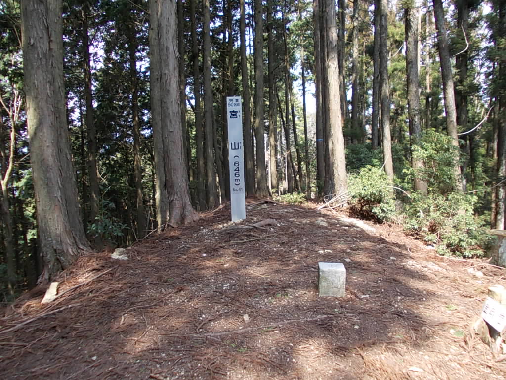 11:11 すぐに山頂に着きました。