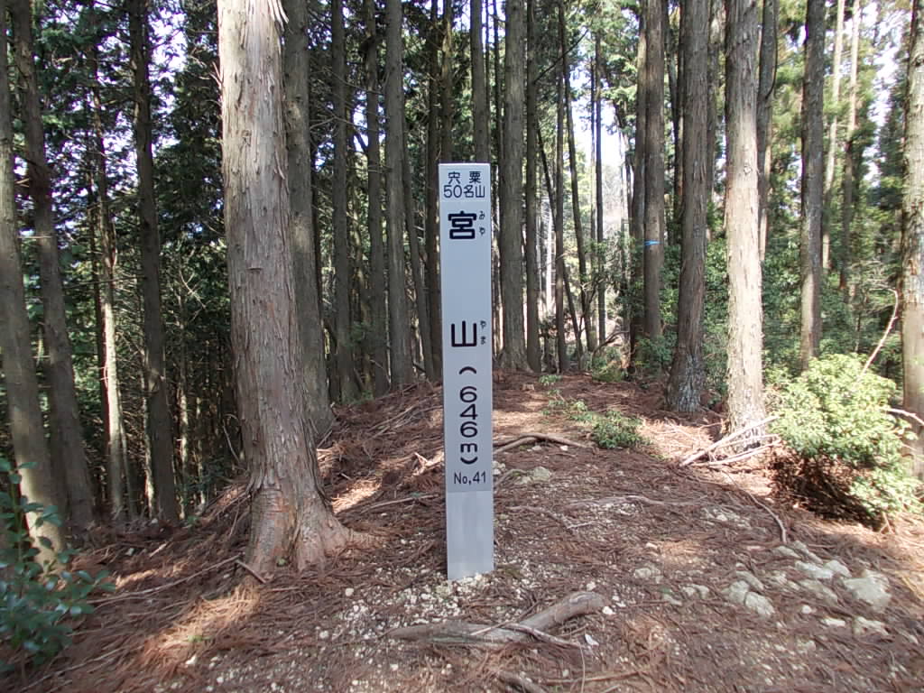 11:24 山頂に戻り、野口神社ルートに下山します。