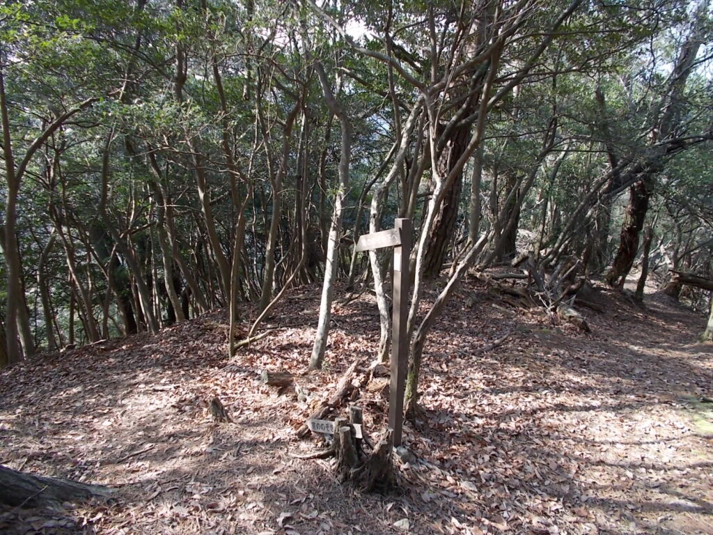 9：47　右が東の覗き、左は東の覗きの下側に出ます。