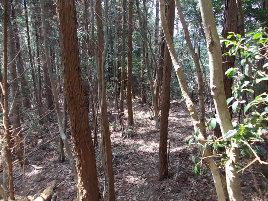 11:32 ルートはこんな感じです。