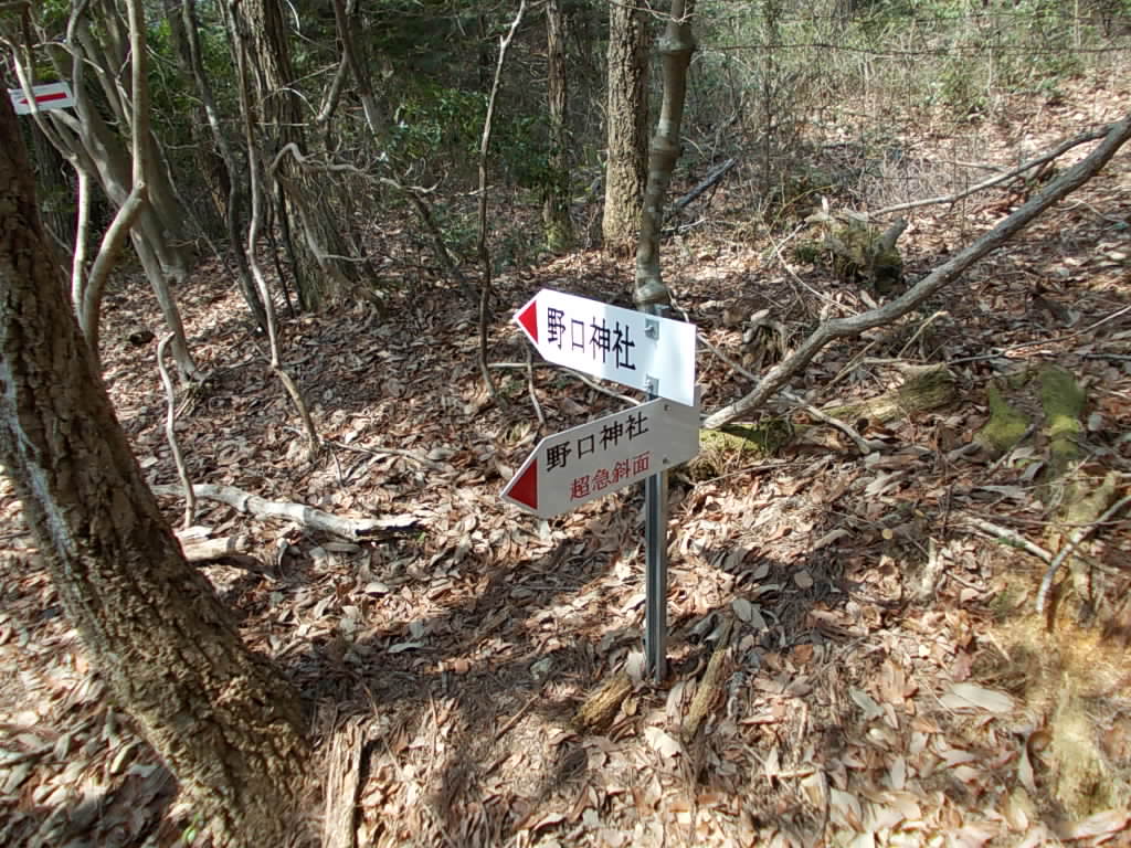 11:33 野口神社への案内板です。左は超急傾斜になりますが、一般方面へ。