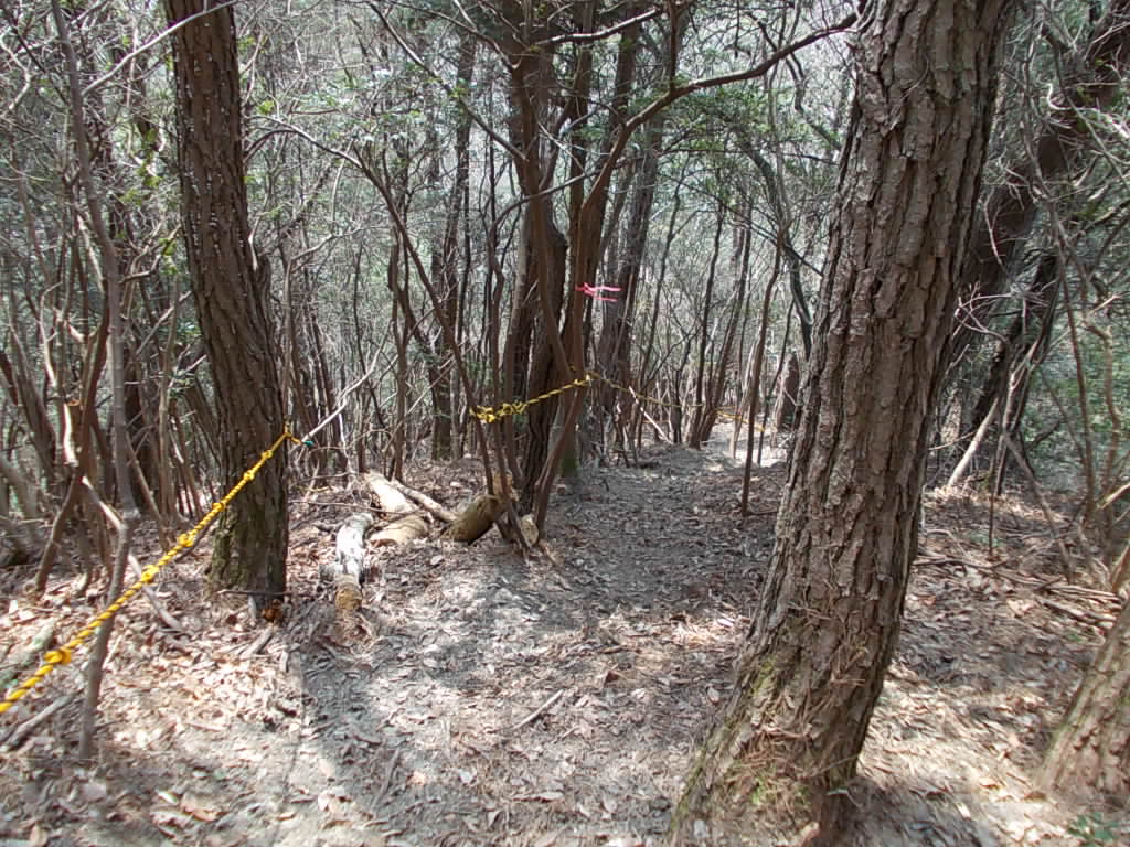 11:39 それでも強烈な下りがありました。ロープが頼りです。