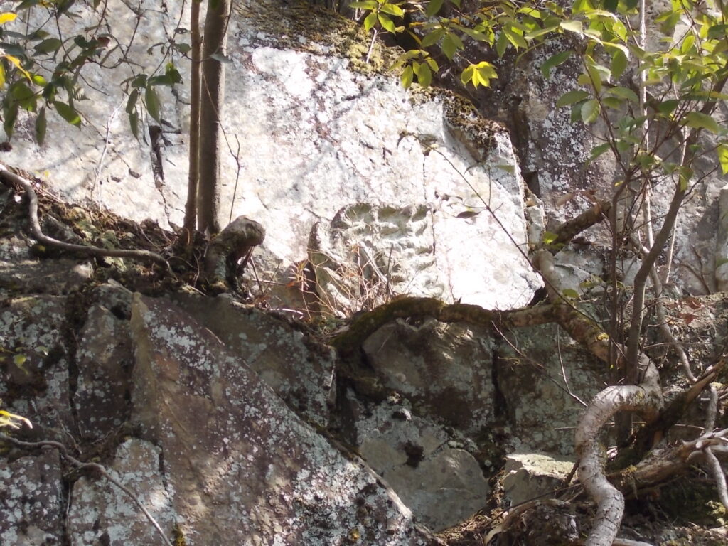 9：50　不動明王のアップです。