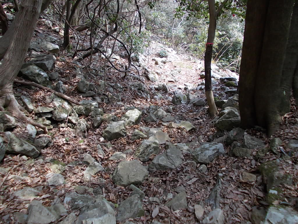 11:47 岩が多くなってきました。台風の名残でしょうか。