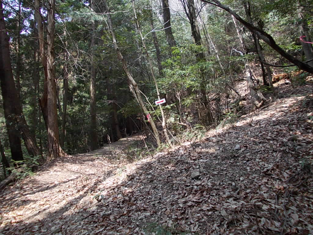 11:50 超急斜面との合流地点です。迂回路も結構急ですから、どんだけ〜なんでしょうか。おそろしい。
