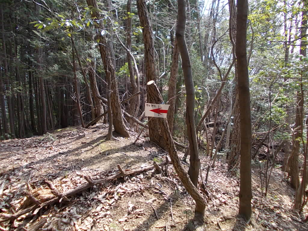 11:53 野口神社への案内板です。