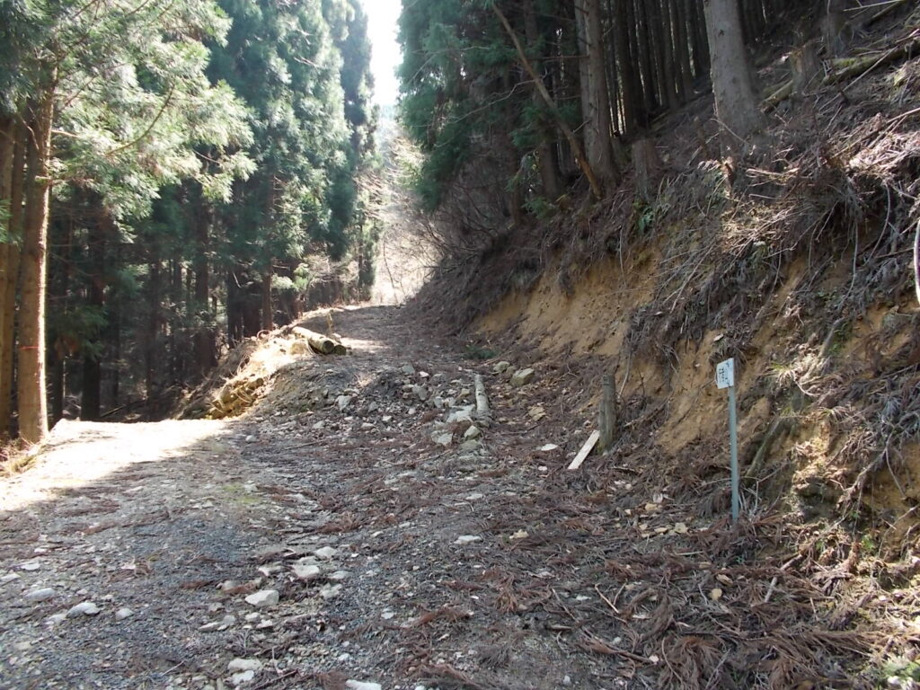 10：58　しばらく歩くと山への分岐になります。右へ進みます。
