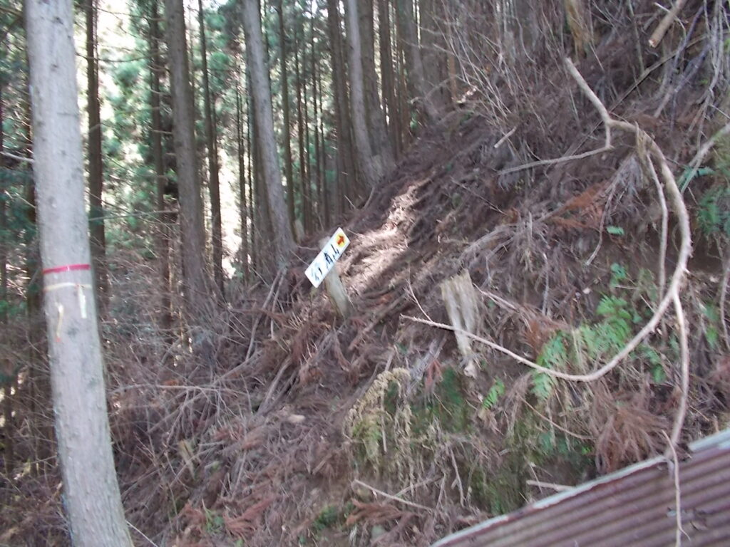 11：01　すぐに急な山道に入ります。ここから山頂手前までかなり厳しい登りが続きます。