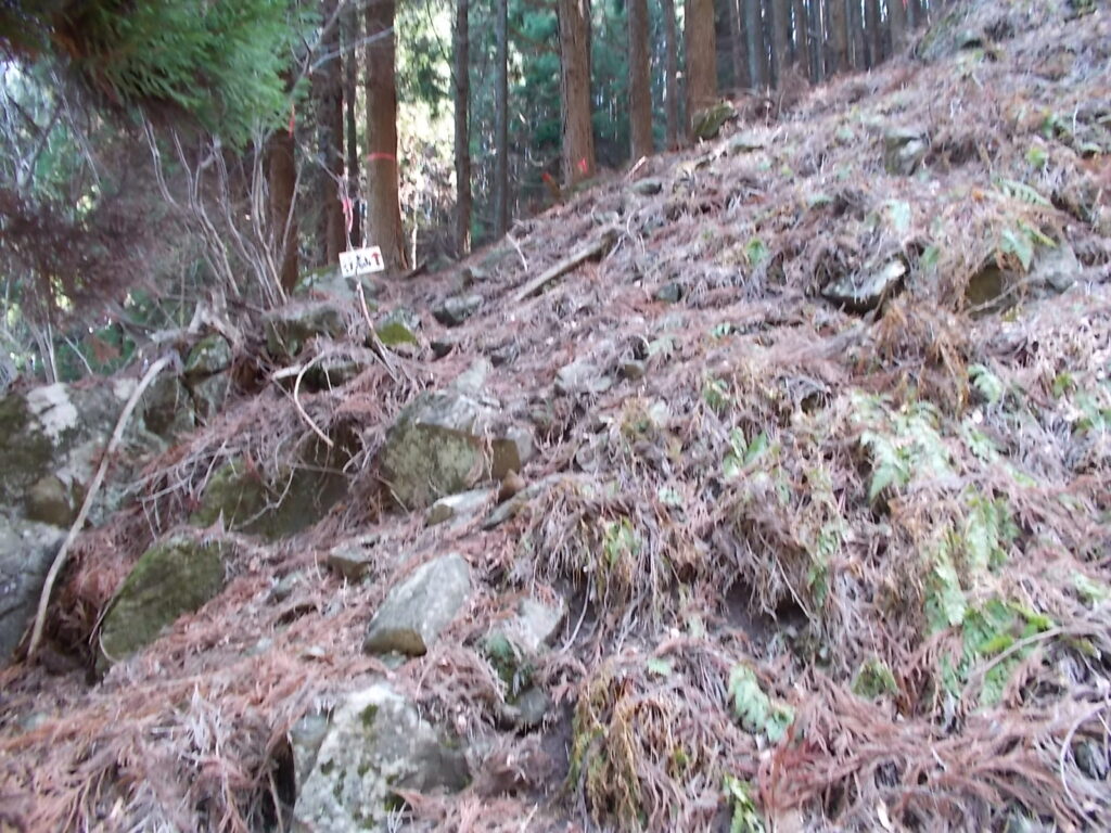 11：13　ガレ場に出ます。