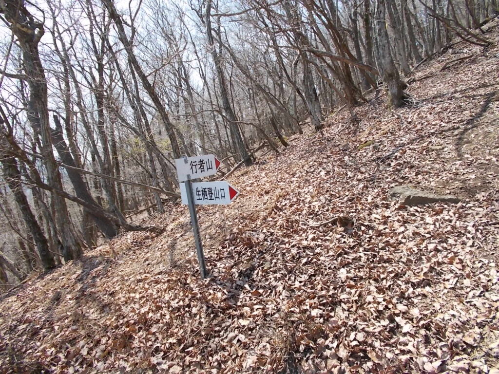 11：25　明るい尾根に出ましたが相変わらず厳しい登りです。