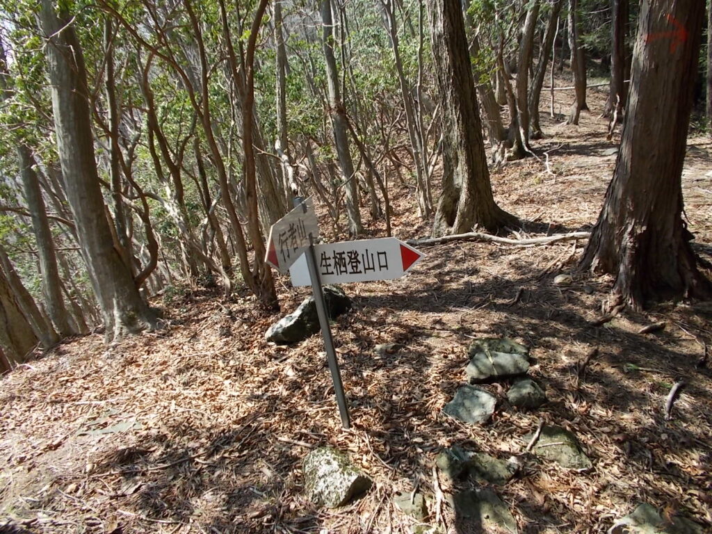 12：08　元のルートに戻って進んだ分岐点です。ここから下りてゆきます。向こうはもう一つのピークのようです。