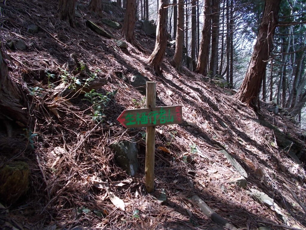 12：14　山頂まで25分の案内板。逆行しているので役には立ちません。