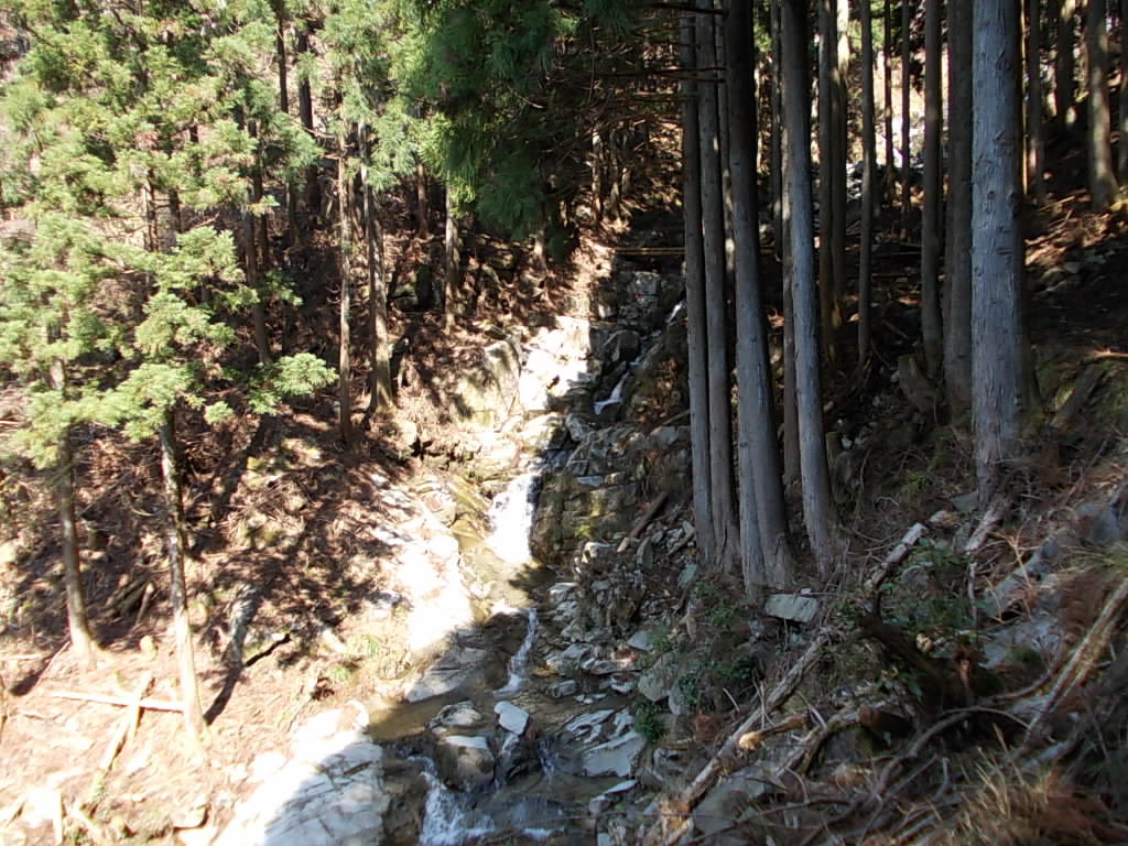 9:41 沢沿いを登っていきます。