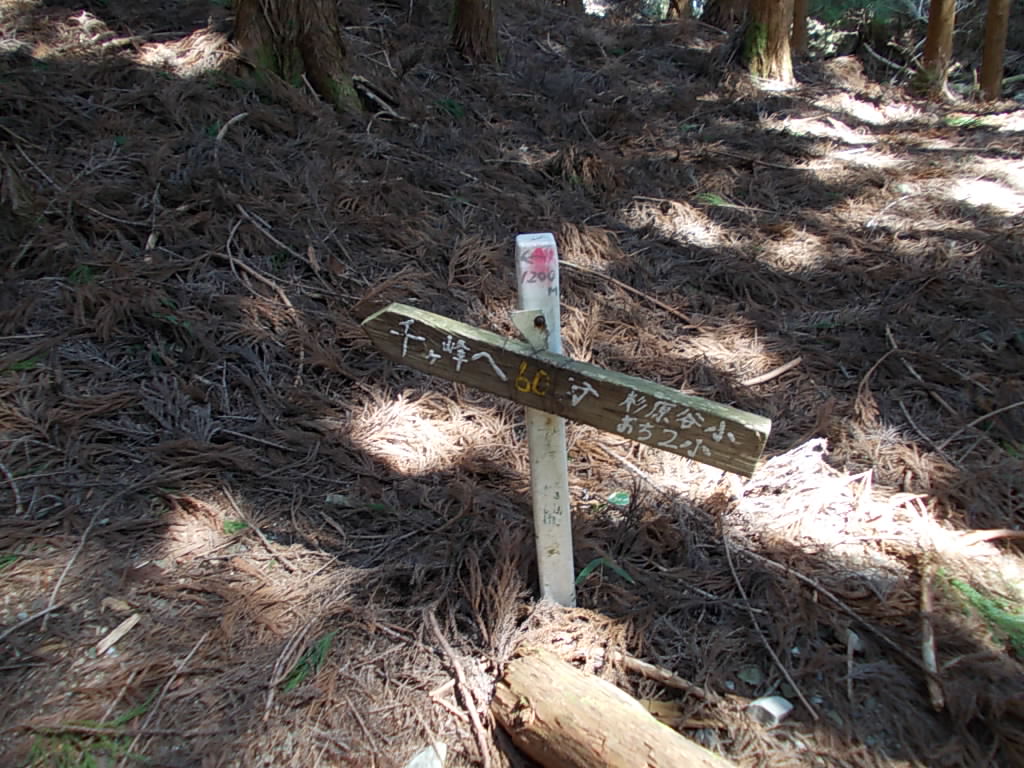 9:59 千ヶ峰まであと60分の案内板。