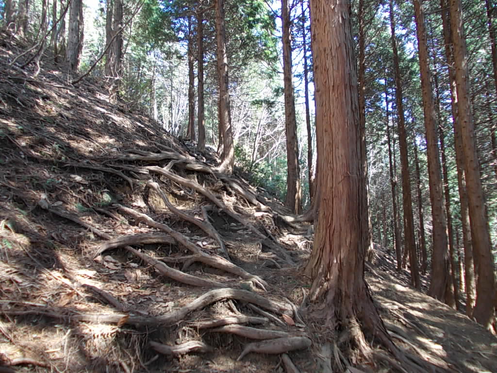 10:04 このあたりからかなり急な登りが始まります。