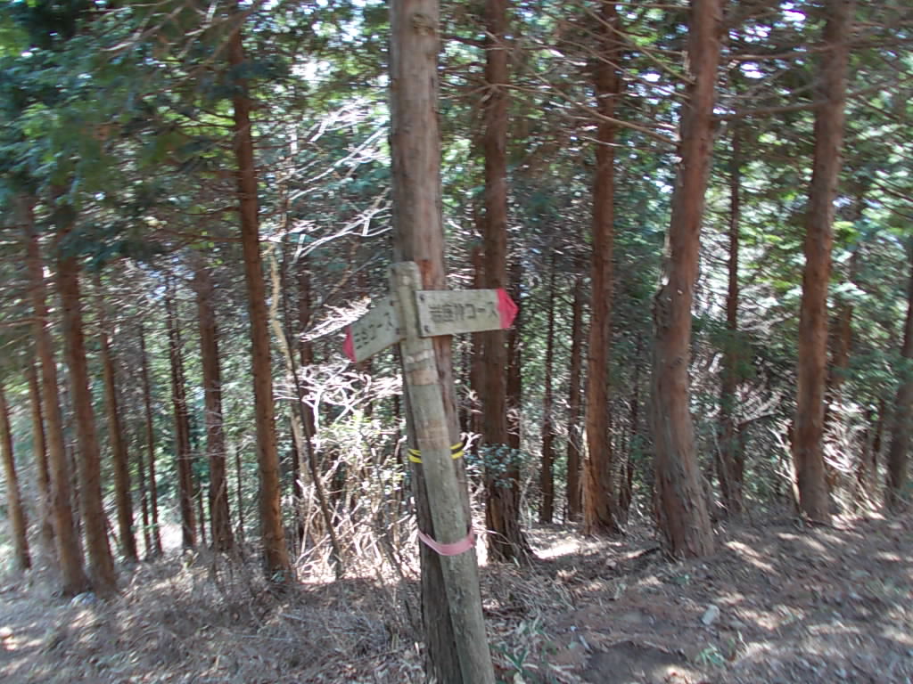 10:11 岩座神コース合流(分岐)点です。