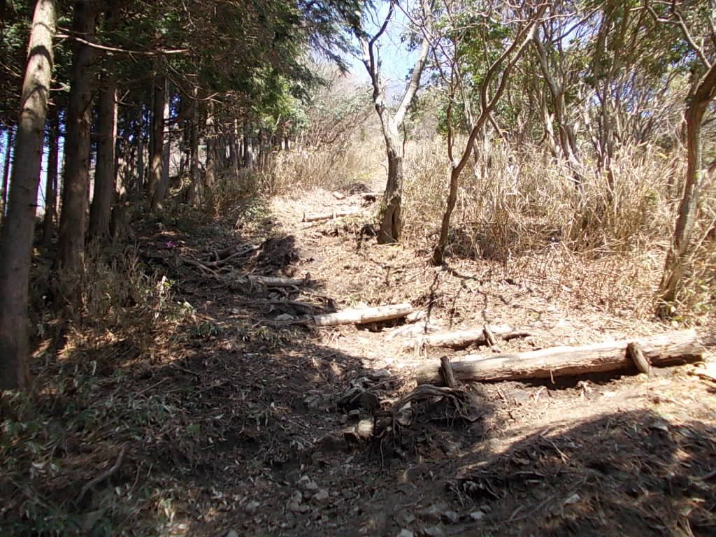 10:24 痛みの激しい登山道です。