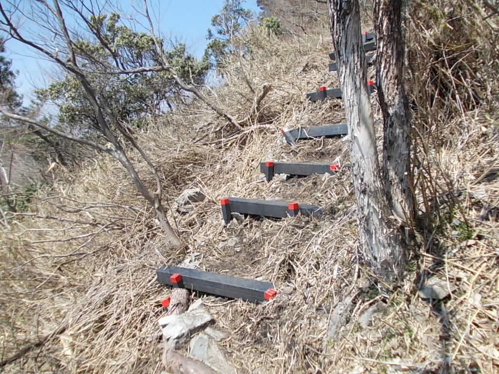 10:28 山頂手前の急な登りになります。急の登山道はかなり痛んでいるので、迂回路が整備されていました。