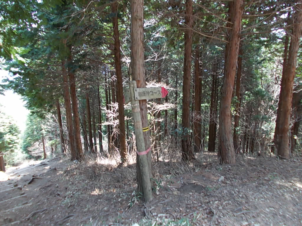 11:14 岩座神コース分岐点。ここから右へ行きます。左は三谷コース。