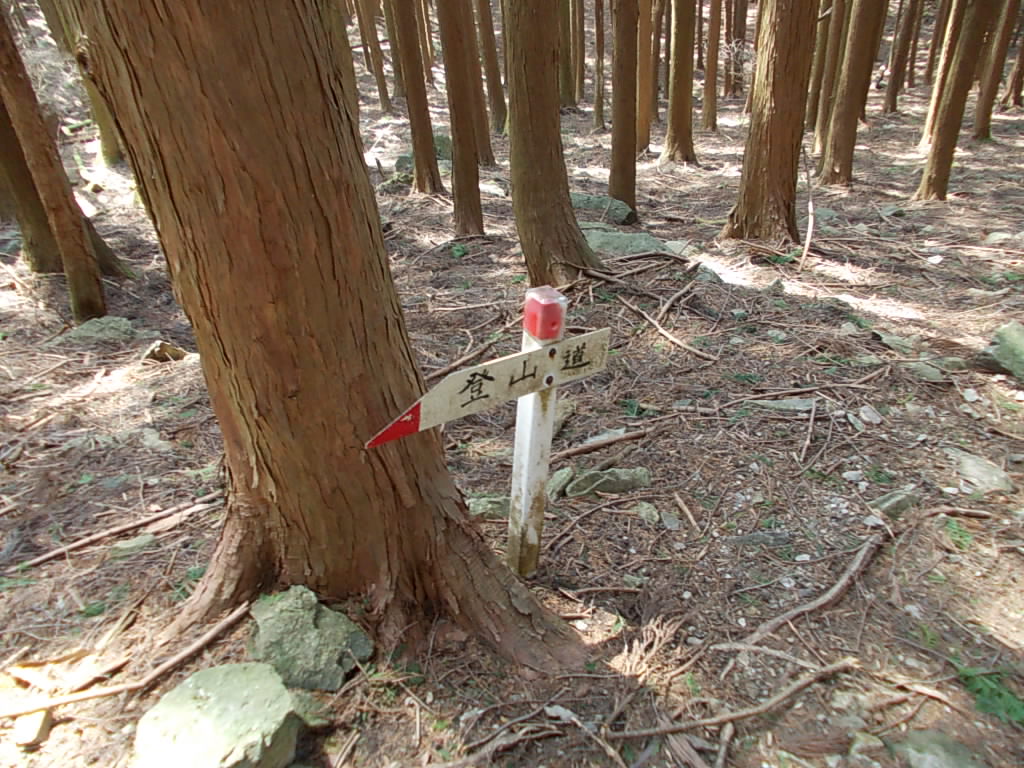 11:22 途中の案内板。此方のコースは尾根筋ではなく、山の斜面を下っていくので、道がわかりにくいです。