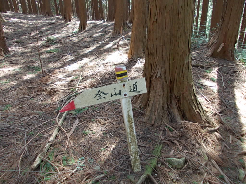 11:24 またまた案内板。