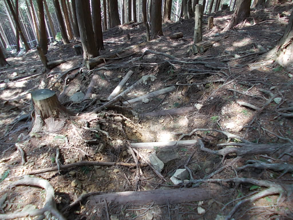 11:27 木の根が多くて歩きにくいです。