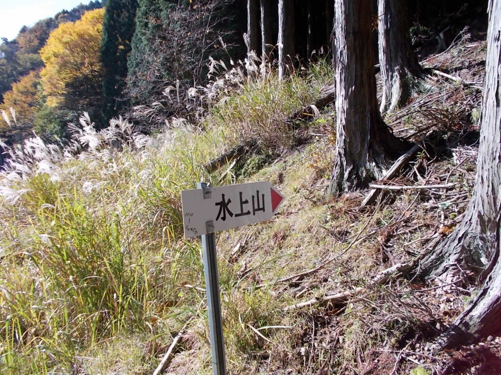 10：19　案内に沿って進む。