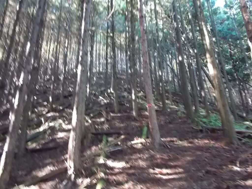 10：20　いきなりの急登