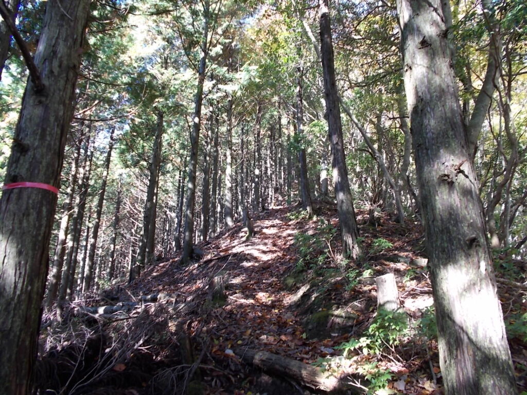 10：31　またまたの急登。何度かこんなのが続きます。