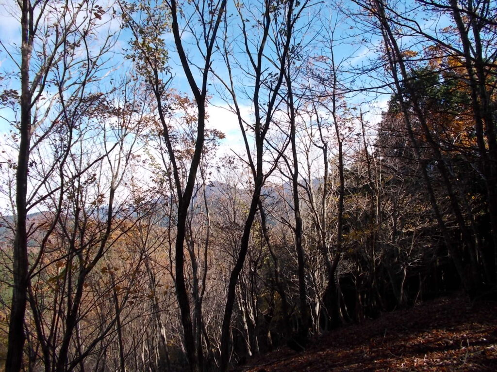 10：50　このあたりでは木を透かして景色を楽しめます。