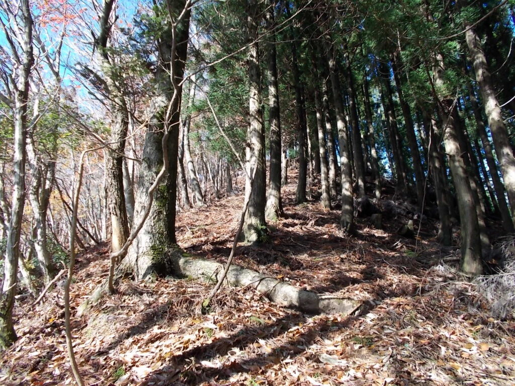 10：59　山頂手前の急登を登ります。