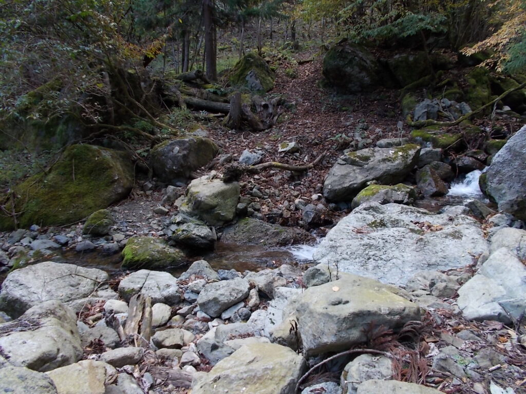 10:49 沢を渡って進みます。