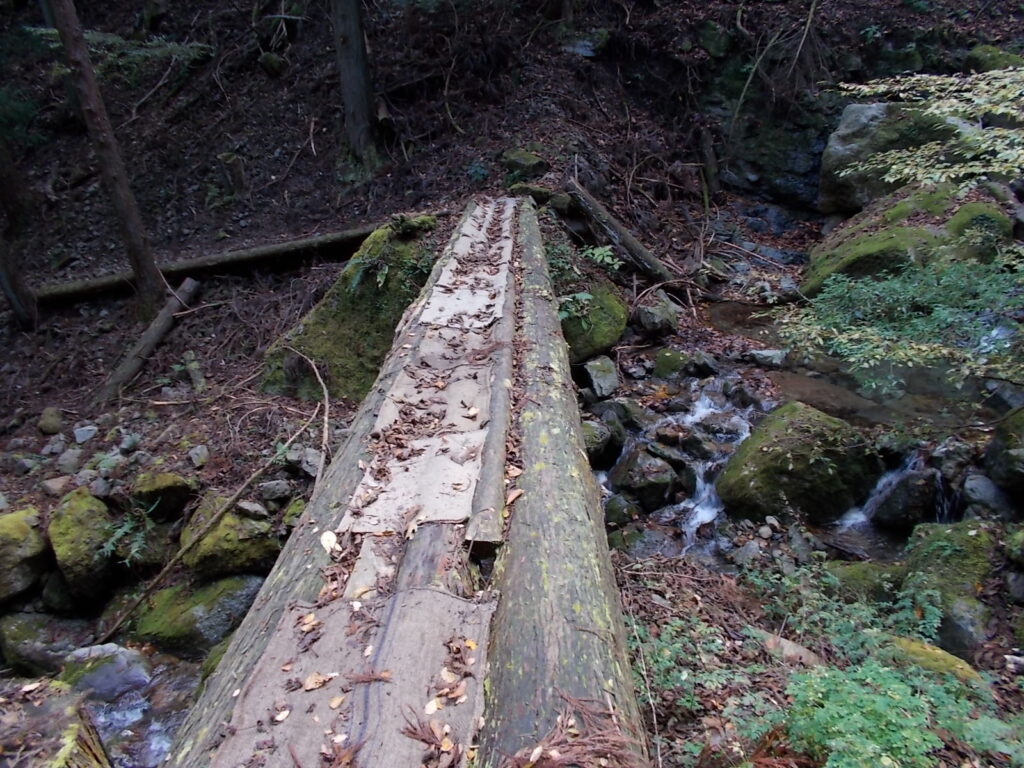 10:52 丸木橋を渡ります。この部分は滑りやすいので、敷いてあるドンゴロスの上を歩きます。