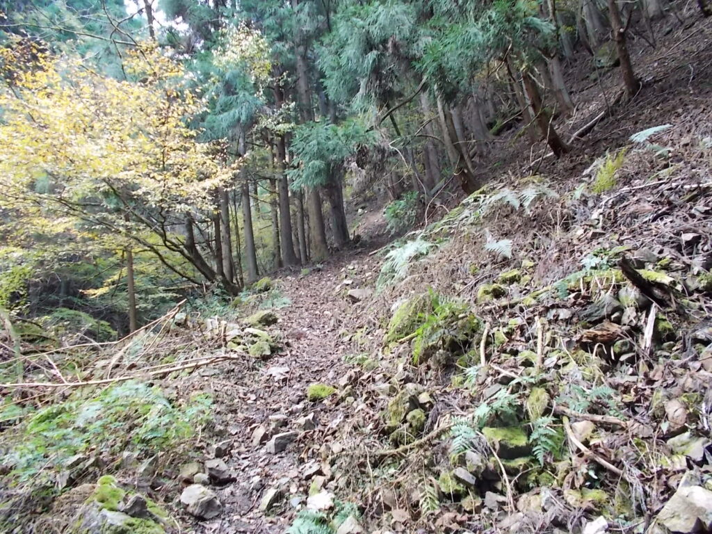 10:53 石がゴロゴロ転がっています。