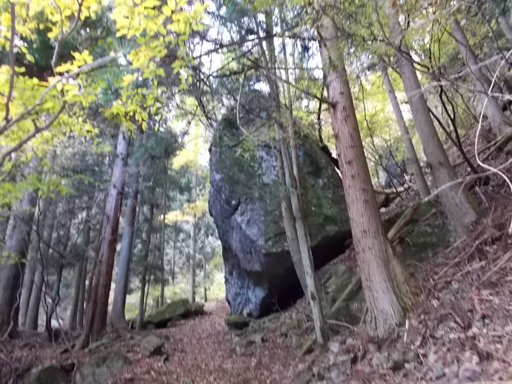 10:55 大石です。
