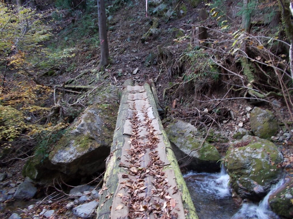 10:59 また丸木橋を渡ります。