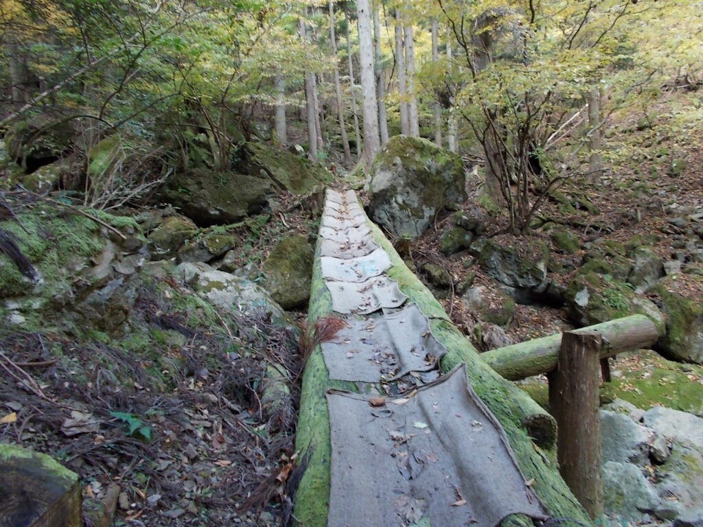 11:01 またまた丸木橋を渡ります。