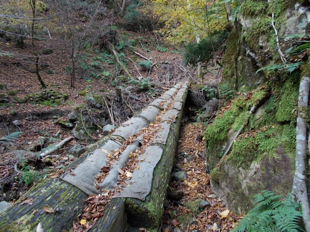 11:10 さらに丸木橋を渡ります。