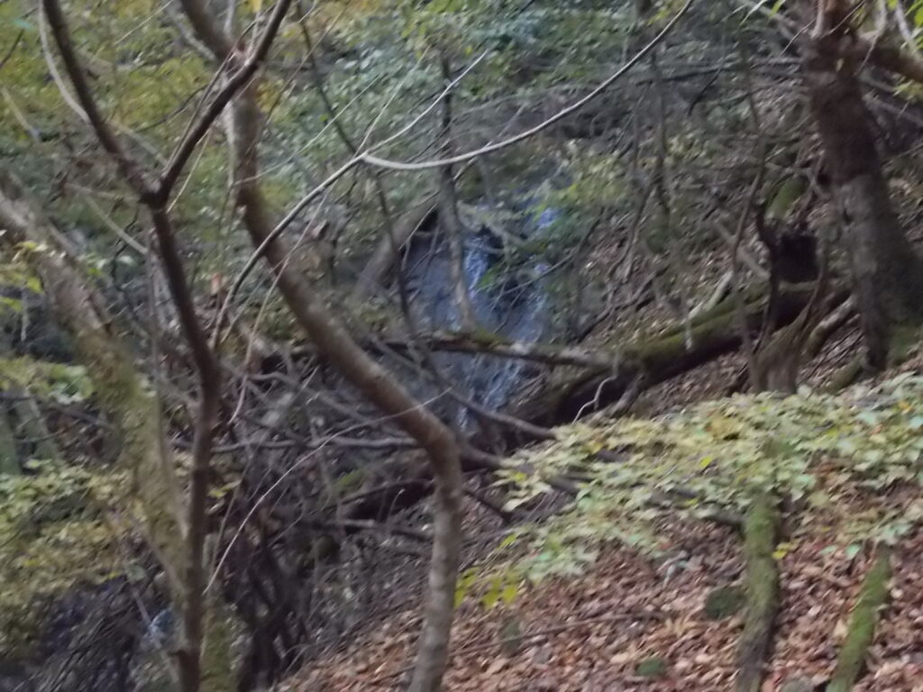 11:10 すぐに滝が見えてきました。2本あります。